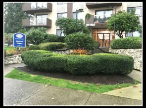 Pelicanstay in Burnaby Lake