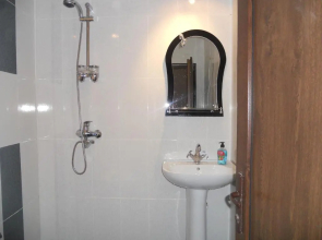 Guesthouse Borjomi