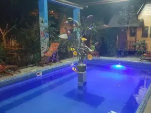 Bird Planet Lodge