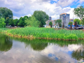 Новобудова Леви Міста Стрийська Наукова Володимира Великого Сихів