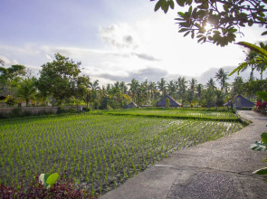 Курорт Agung Raka Resort and Villa