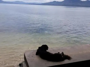 Bunaken Beach Resort