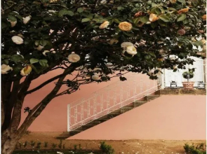 Quinta De Anterronde