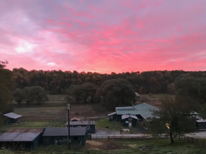 The Homestead