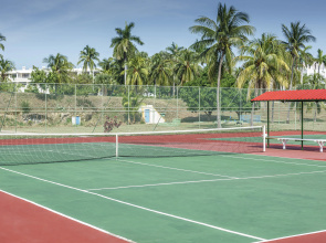 Sol Palmeras