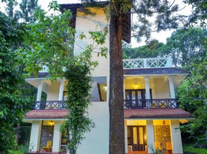 Hotel Treetop