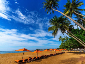Calamander Unawatuna Beach