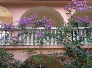 Apartments Postolovi'c