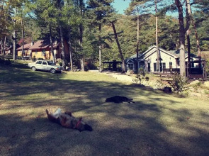 Eumaki Heureuneun Sup