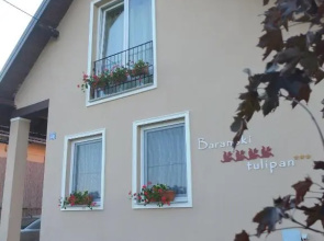 Country House Baranjski Tulipan