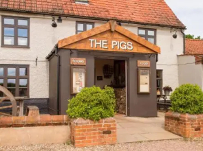 The Pigs