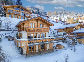 Chalet Sapin Argenté