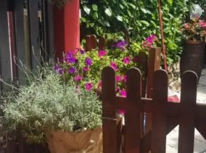 B&B Girasole
