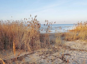 5 Star Holiday Home in Wendtorf