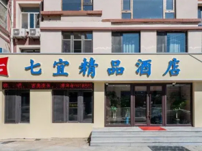 Changchun Qiyi Boutique Hotel (Sports College Branch)