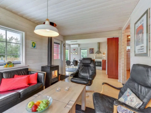 "Liam" - 3km from the sea in Western Jutland