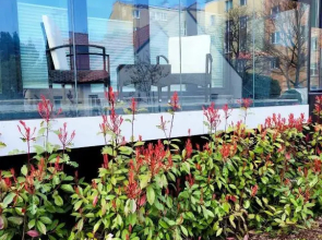 Apartament Glamour Żeromskiego