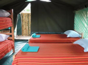 Mara Explorers Camp & Backpackers