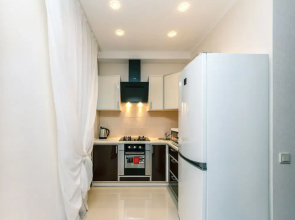 Apartment Kiev Lesi Ukrainki