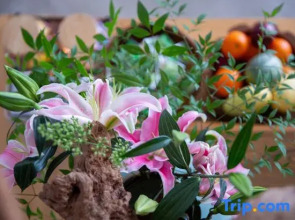 Sanwanli Senlv Designer Homestay (Tengchong Heshun Ancient Town)