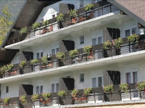 Hotel Bor