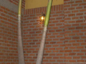 Hotel San Diego Inc. Valledupar