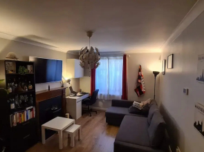 Inviting 2BD Flat 15 Mins From Heart of Dublin!