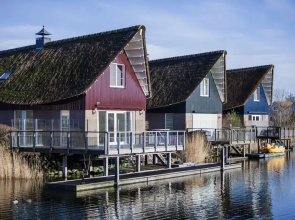 Thatched Villa by Ijsselmeer