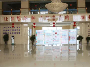 Wetland Film and Television Apartment