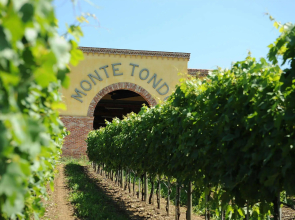 Monte Tondo