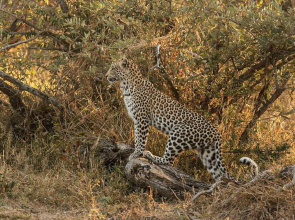 Baobab Ridge Private Lodge