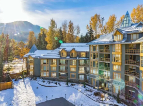 Beautiful One Bedroom Suite - 416