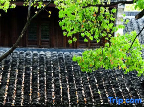 Shaoxing Jianhu·Huanglong Cuili Resort Hotel