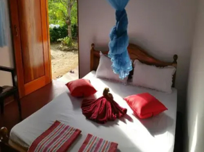 Perfect View Guest