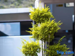 Xiangwei to foam sea view beauty accommodation (Dali Erhai small Putuo store)