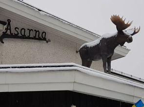 Big Moose Hotel