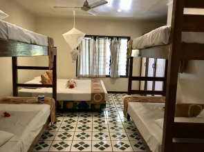 Tanna Evergreen Resort & Tours