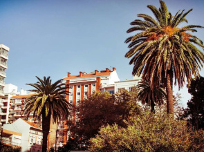 Selina Montevideo