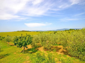 Villa Anita
