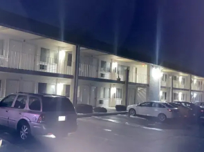 American Motel