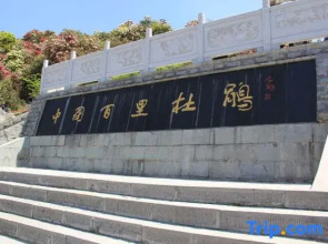 Baili Rhododendron  Language HallInn