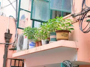 【Nest】Guesthouse near Xujiahui