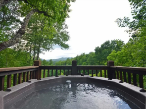 Soaring Eagle Cabin