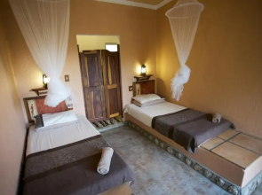 Sasa Safari Camp