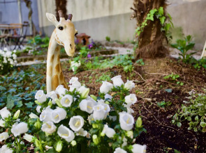 Ostello Bello Lake Como