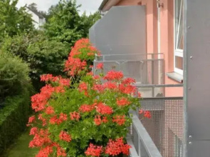 Sankt Veit Pension
