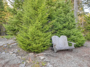 Cozy Acadia Area Cabin, Walk to Beach & Lighthouse