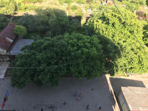 Kvartira Rustaveli 162 Z