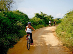 The Yala Camping