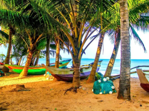 White Ro Resort